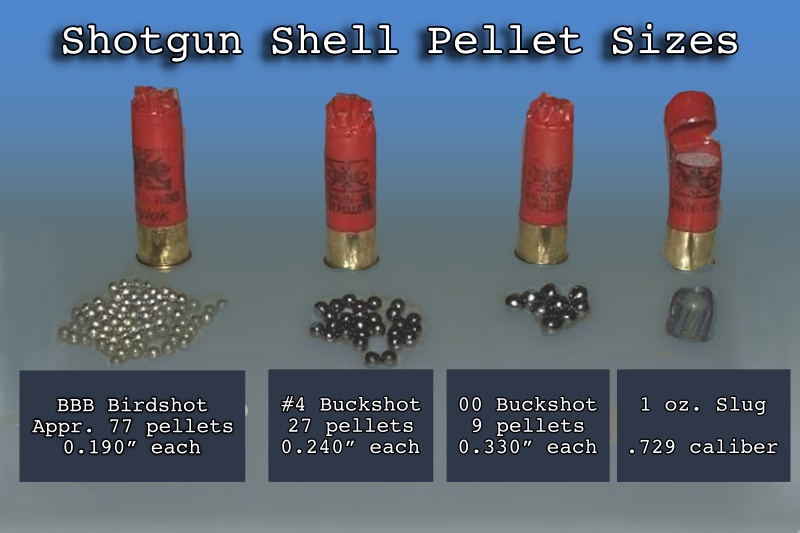  Buckshot