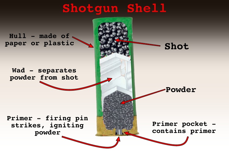  Buckshot