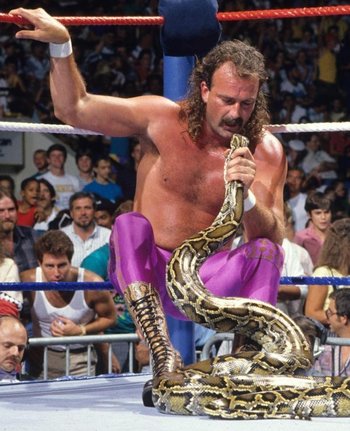 Jake Roberts