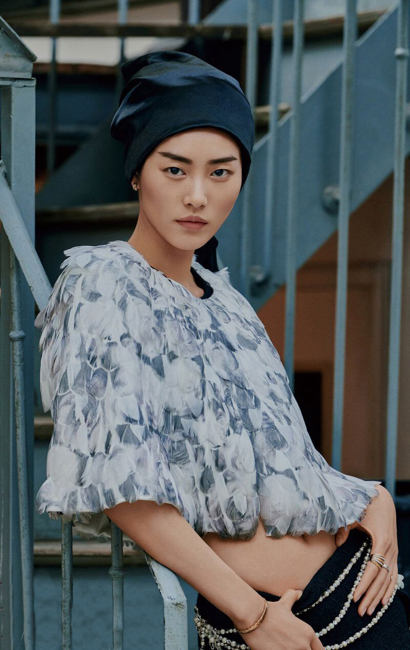 Liu Wen