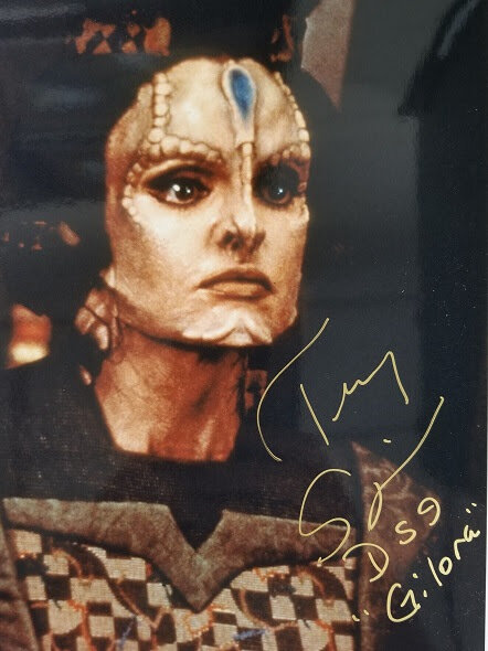 Tracy Scoggins